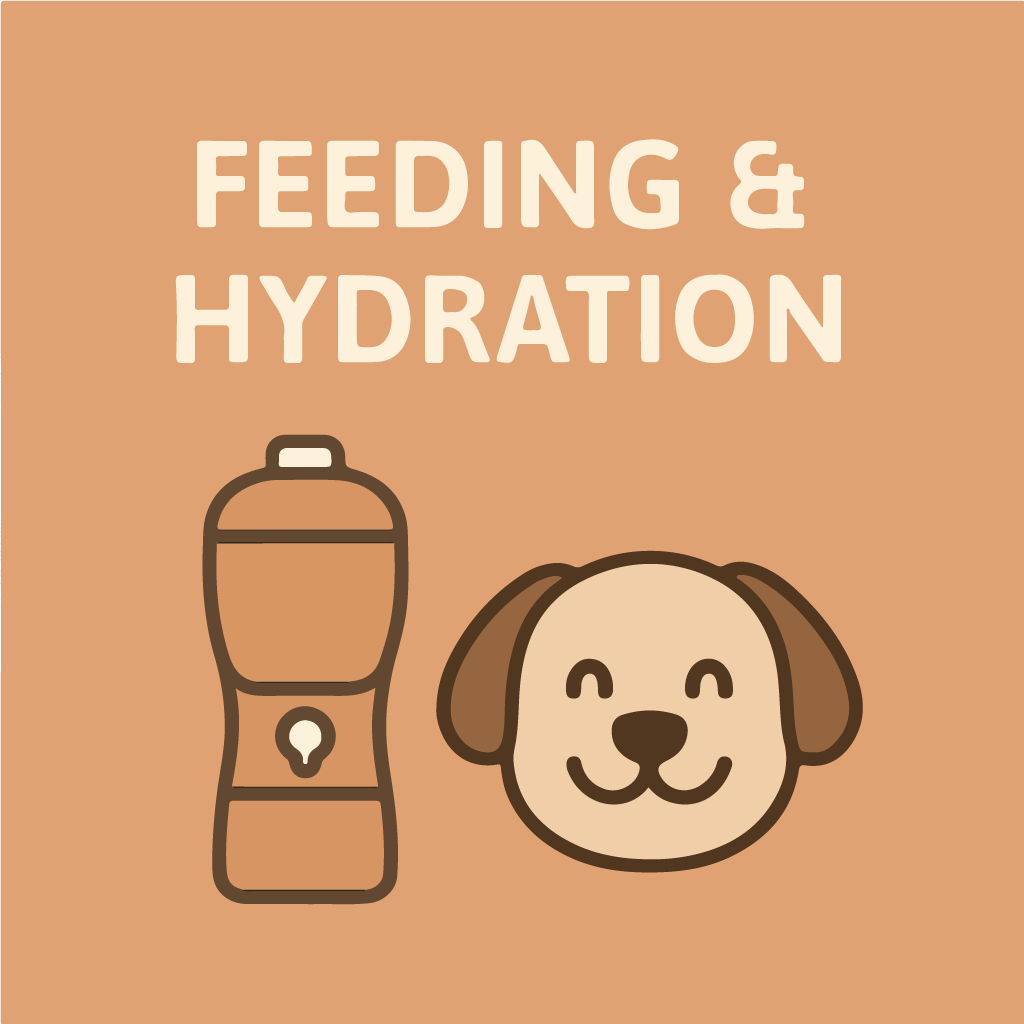 Feeding & Hydration