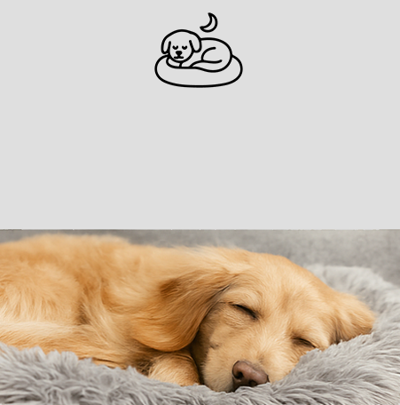 Cozy & Calm