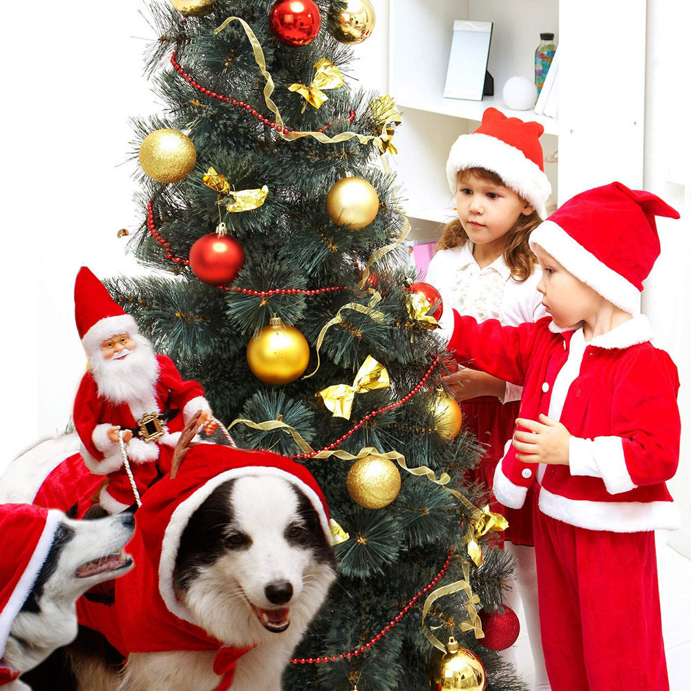 Santa's Sleigh Ride Pet Costume