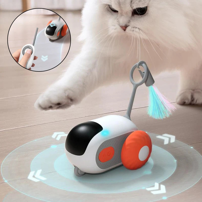 Zoom ‘n’ Play Cat Car