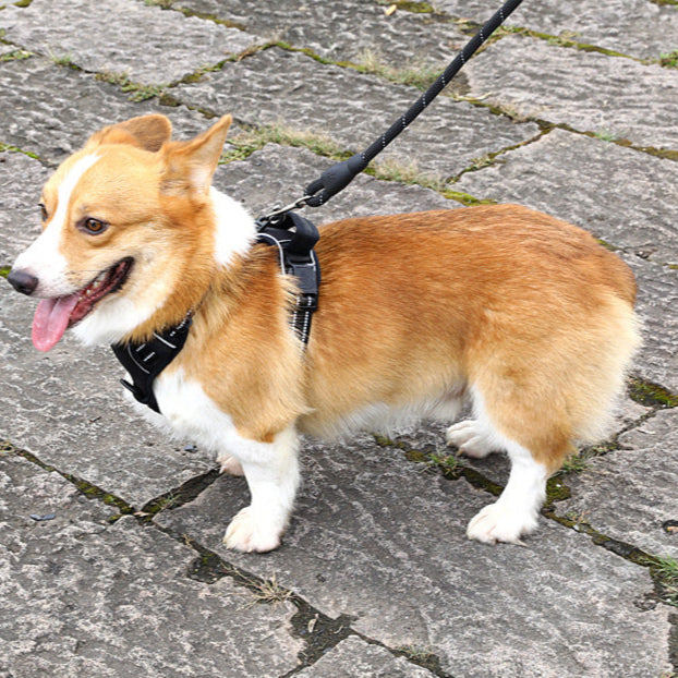 No-Pull Dog Harness Vest