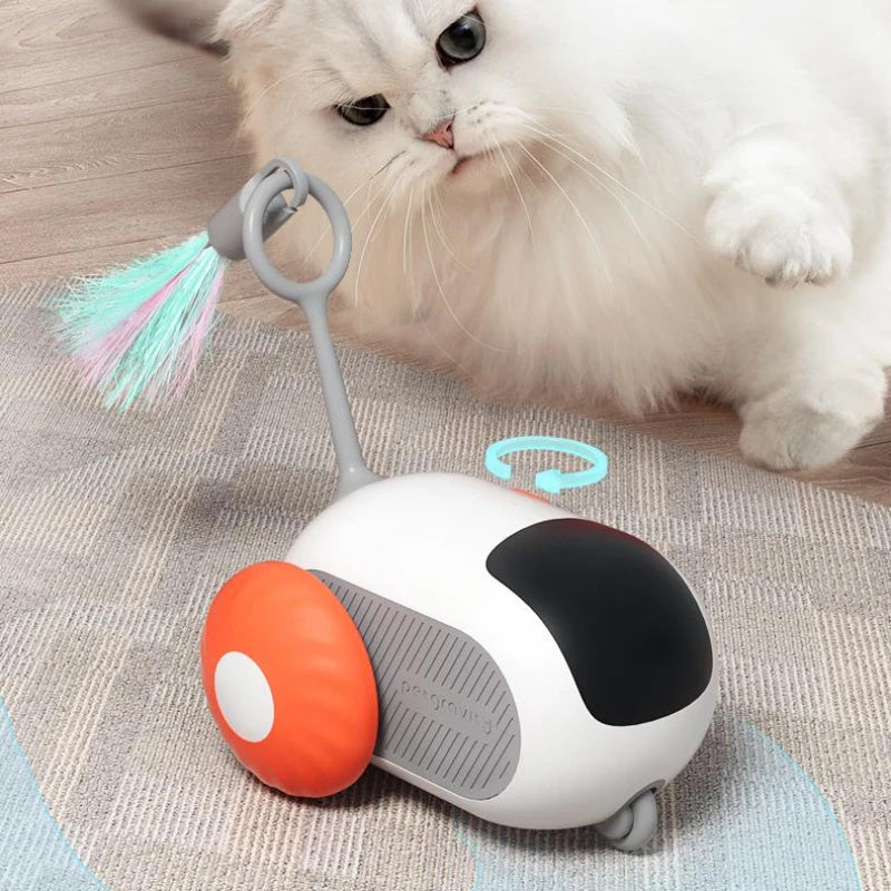Zoom ‘n’ Play Cat Car