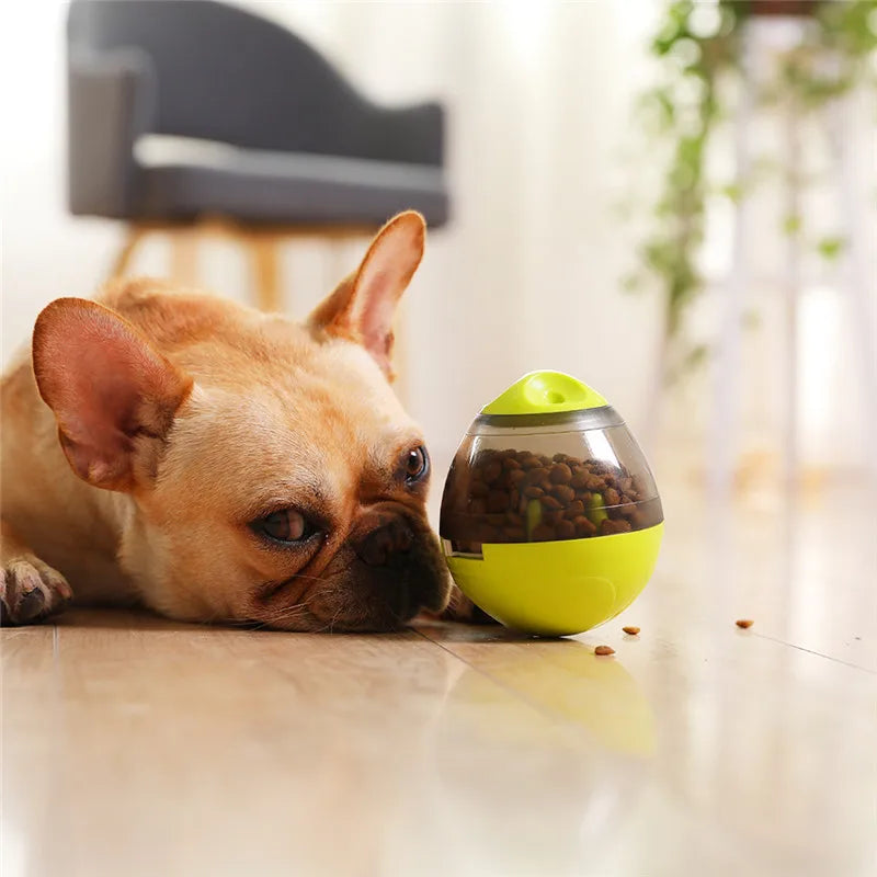 Tumbling Treat Dispenser – Funny Pet Food Toy