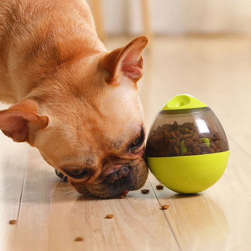 Tumbling Treat Dispenser – Funny Pet Food Toy