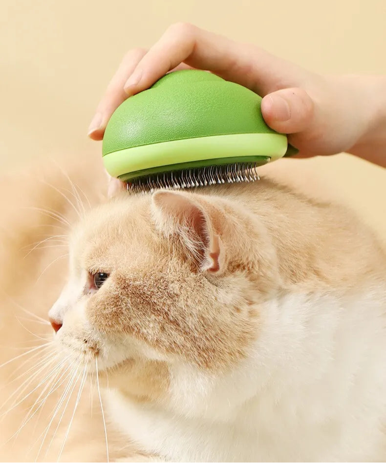 Cleaning Avocado Pet Brush