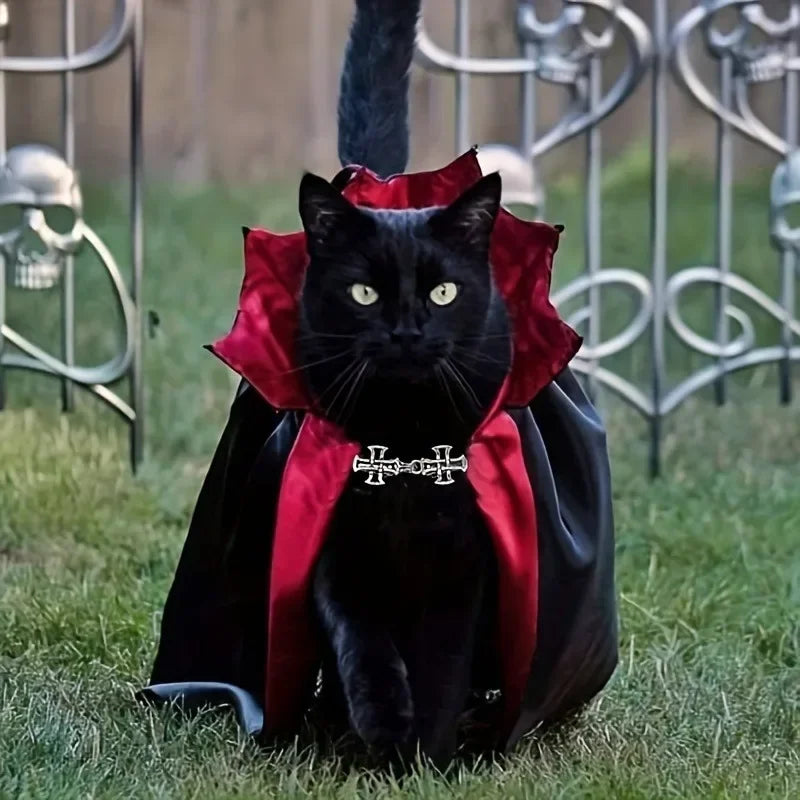 Batty Nights Pet Cosplay