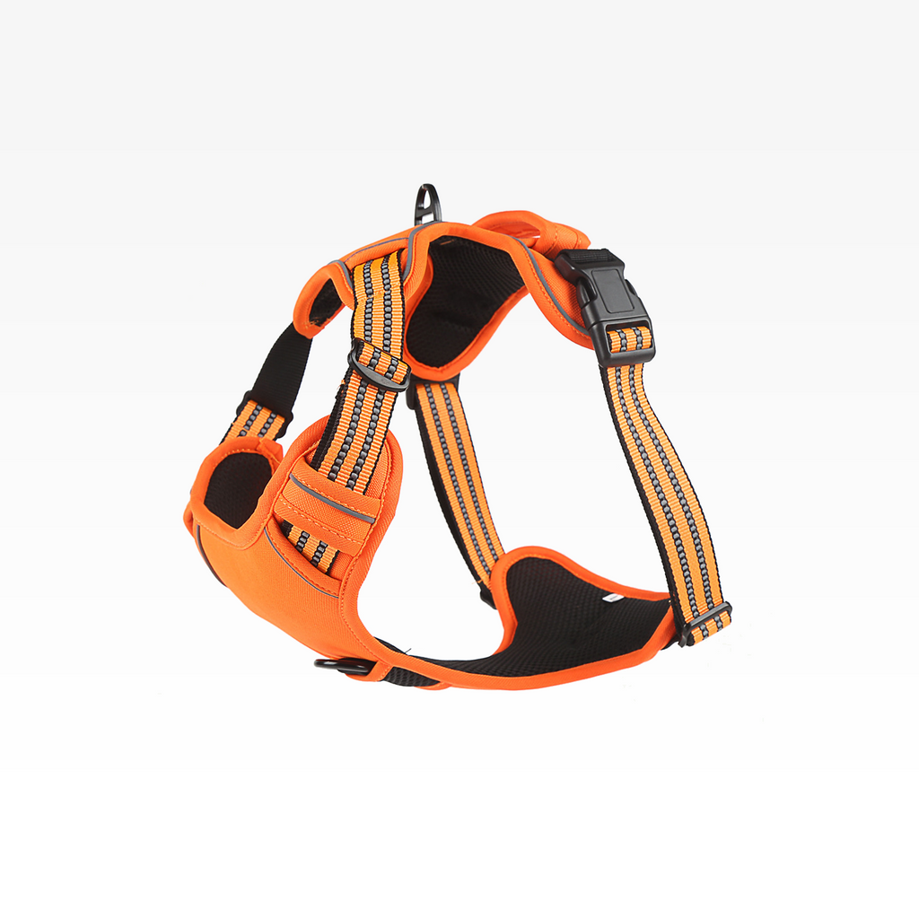 No-Pull Dog Harness Vest – Adjustable, Safe & Comfortable