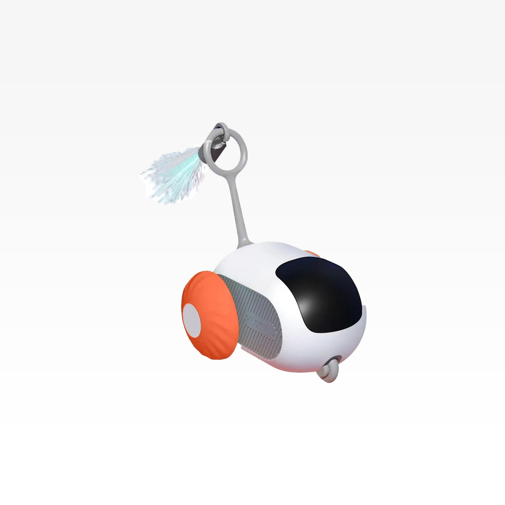 Zoom ‘n’ Play Cat Car