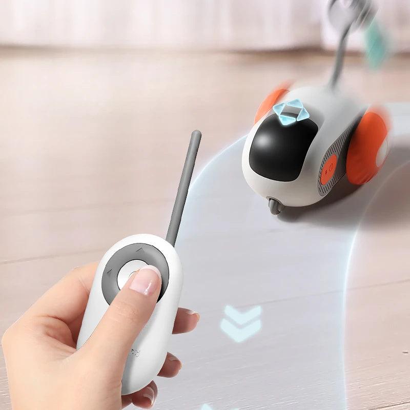 Voiture pour chat Zoom 'n' Play