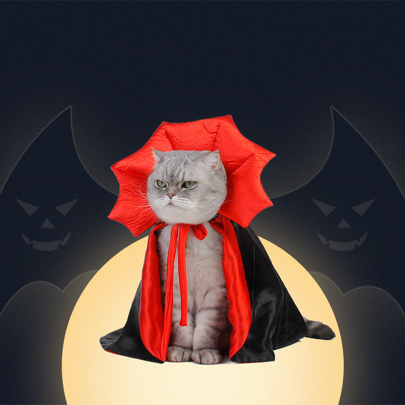 Batty Nights Pet Cosplay