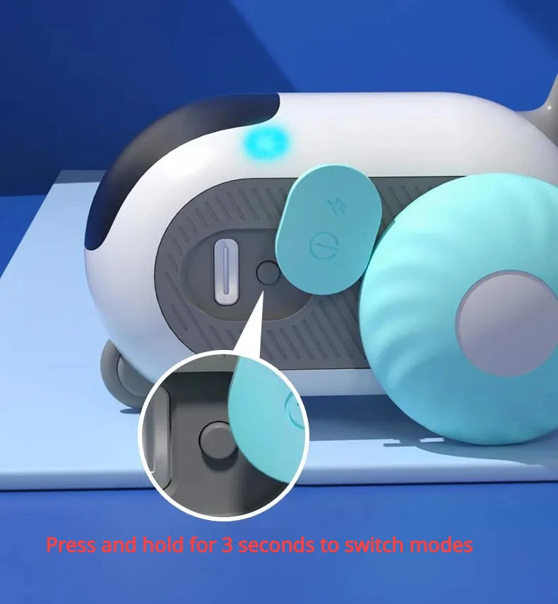 Zoom ‘n’ Play Cat Car
