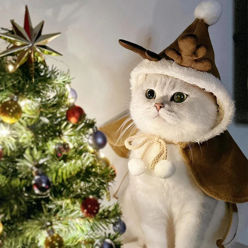 Pet Christmas Cloak
