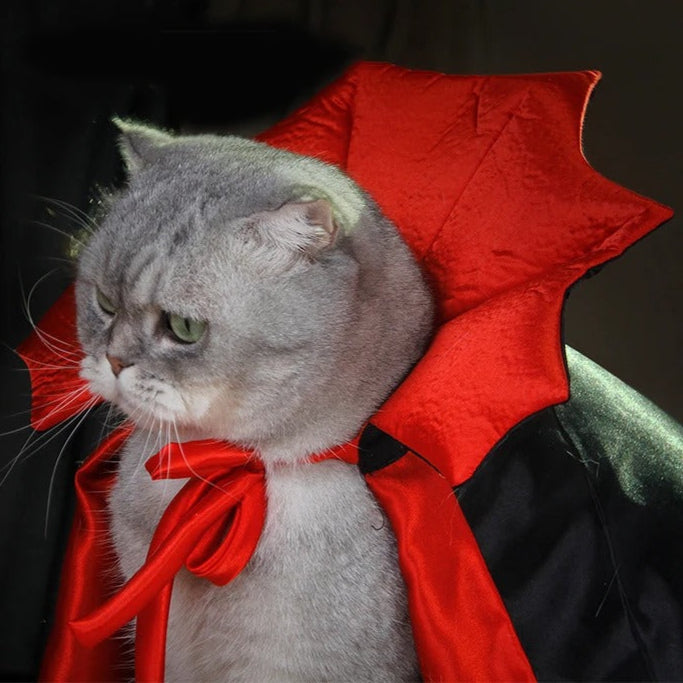 Batty Nights Pet Cosplay