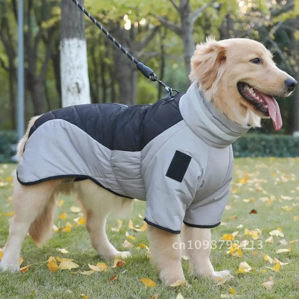 Winter Waterproof Dog Coat